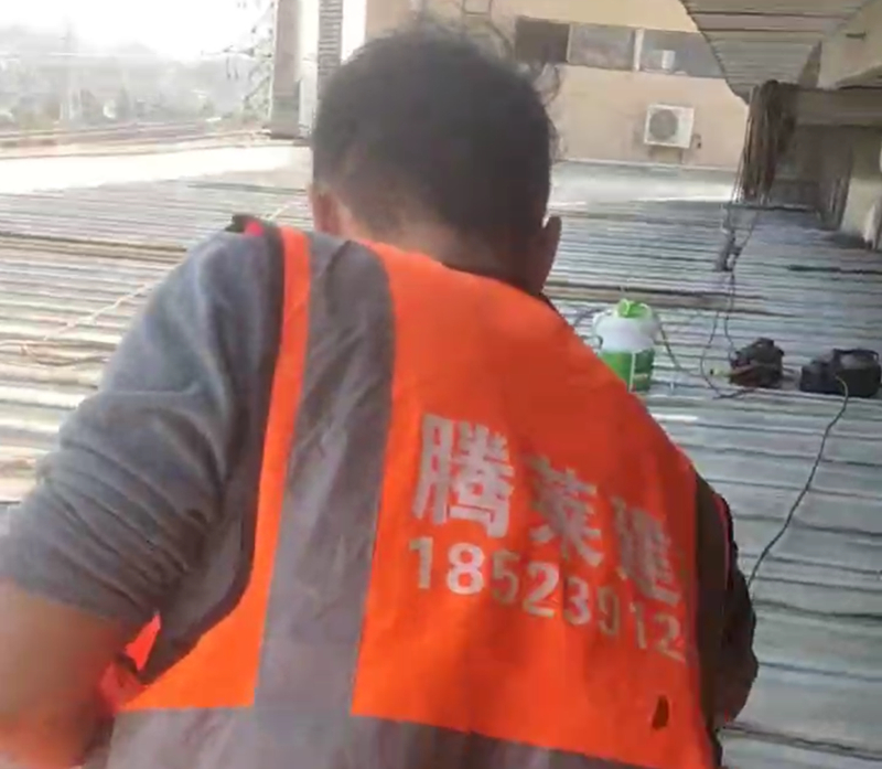 �����������ᱣ��